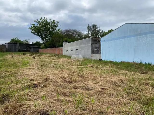 Casa / Sobrado para Venda em Passo Fundo/RS Vila Vera Cruz 2 Quartos