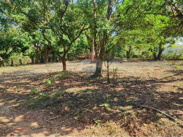 Casa / Sobrado para Venda em Paulínia/SP São Domingos 3 Quartos