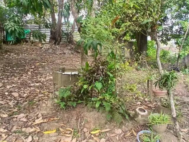 Casa / Sobrado para Venda em Paulista/PE Centro 4 Quartos