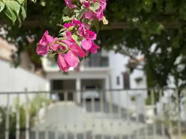 Casa / Sobrado para Venda em Penha/SC Centro 4 Quartos