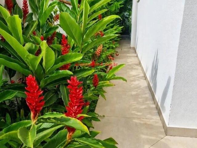 Casa / Sobrado para Venda em Pindamonhangaba/SP Nossa Senhora do Perpétuo Socorro 3 Quartos