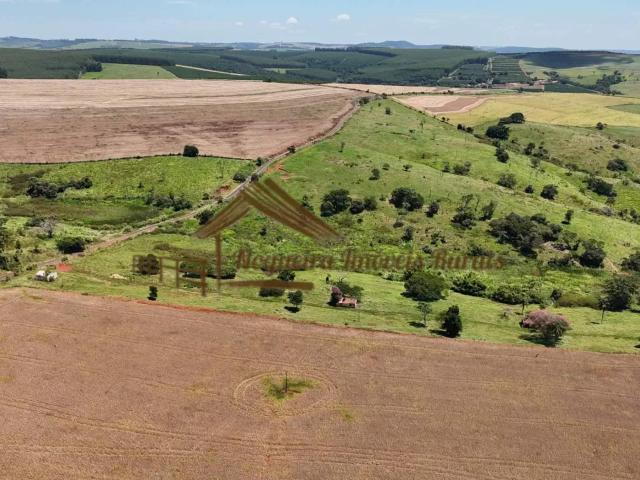 Casa / Sobrado para Venda em Piraju/SP Área Rural de Piraju