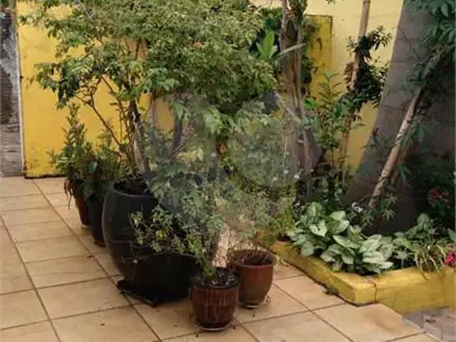 Casa / Sobrado para Venda em Piraju/SP Conjunto Habitacional Haydée Athiê 3 Quartos