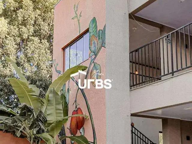 Casa / Sobrado para Venda em Pirenópolis/GO Jardim Taquaral 14 Quartos