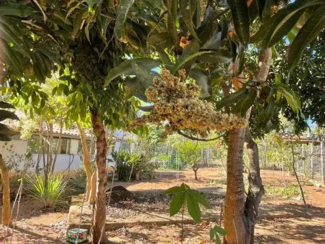 Casa / Sobrado para Venda em Pitangui/MG Centro 3 Quartos
