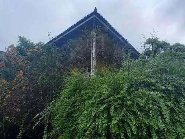 Casa / Sobrado para Venda em Poços de Caldas/MG Chácaras Poços de Caldas 3 Quartos
