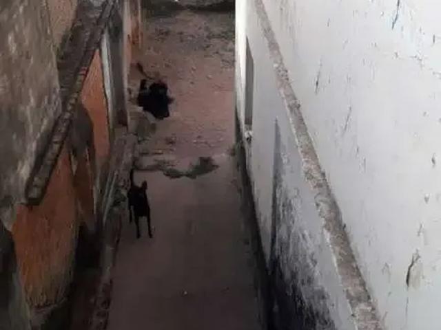 Casa / Sobrado para Venda em Poços de Caldas/MG Jardim Cascatinha 2 Quartos