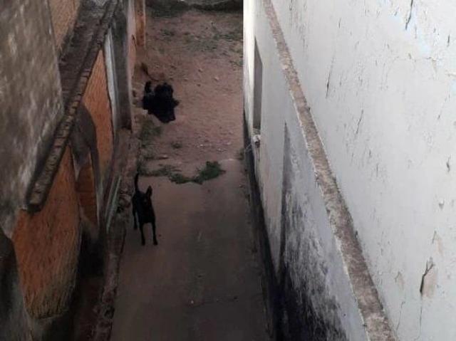 Casa / Sobrado para Venda em Poços de Caldas/MG Jardim Cascatinha 2 Quartos