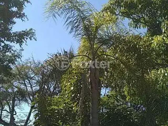 Casa / Sobrado para Venda em Porto Alegre/RS Ipanema 4 Quartos