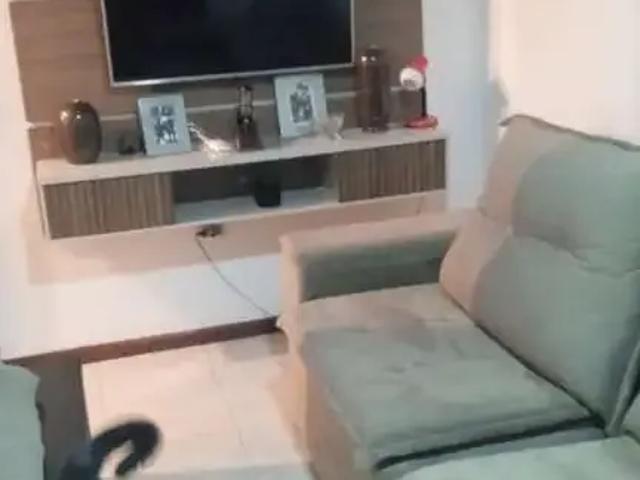 Casa / Sobrado para Venda em Porto Alegre/RS Jardim Carvalho 4 Quartos