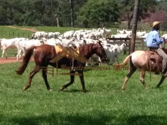 Casa / Sobrado para Venda em Porangaba/SP Área Rural de Porangaba