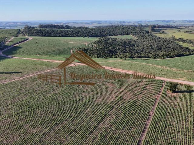Casa / Sobrado para Venda em Porangaba/SP Área Rural de Porangaba