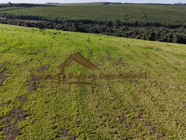 Casa / Sobrado para Venda em Porangaba/SP Área Rural de Porangaba