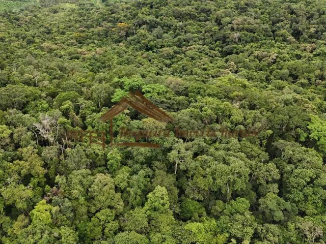 Casa / Sobrado para Venda em Porangaba/SP Área Rural de Porangaba