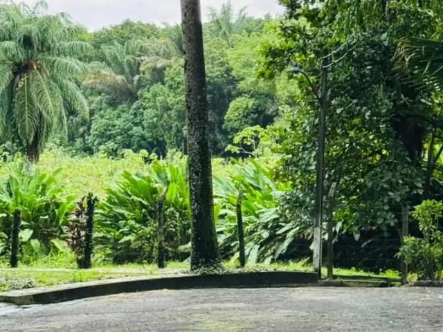 Casa / Sobrado para Venda em Recife/PE Apipucos 4 Quartos