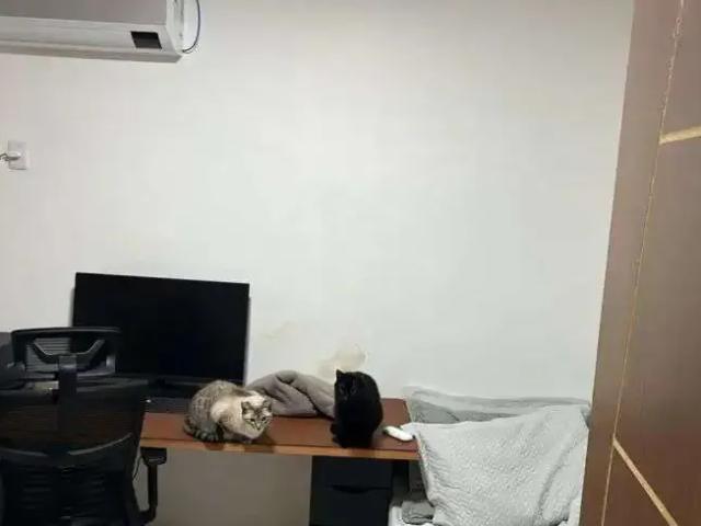 Casa / Sobrado para Venda em Recife/PE Encruzilhada 3 Quartos