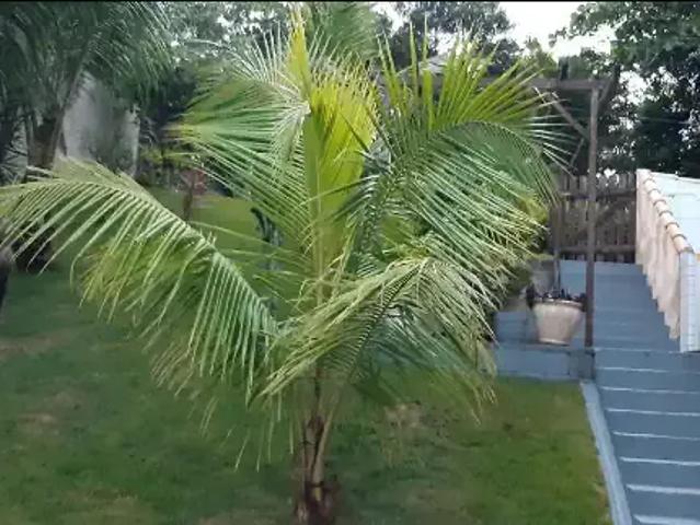 Casa / Sobrado para Venda em Rio de Janeiro/RJ Barra de Guaratiba 2 Quartos