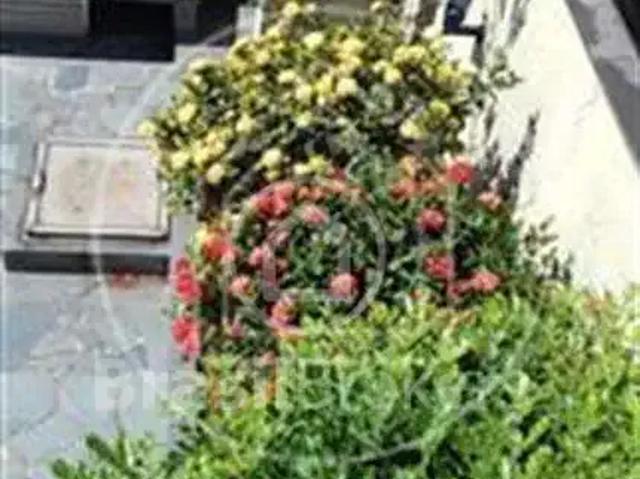 Casa / Sobrado para Venda em Rio de Janeiro/RJ Penha Circular 4 Quartos