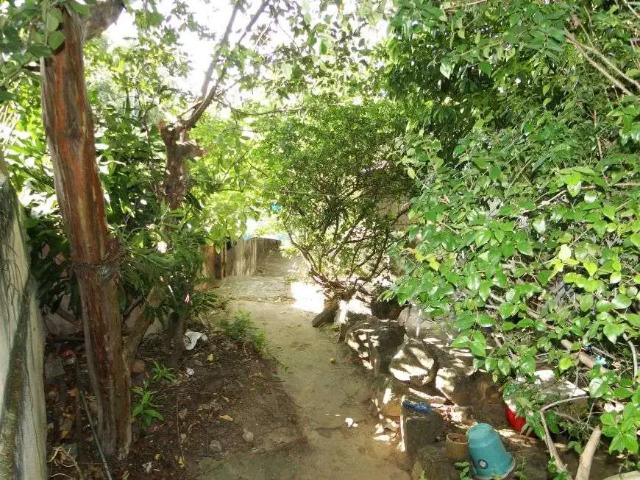 Casa / Sobrado para Venda em Rio de Janeiro/RJ Santa Teresa 5 Quartos