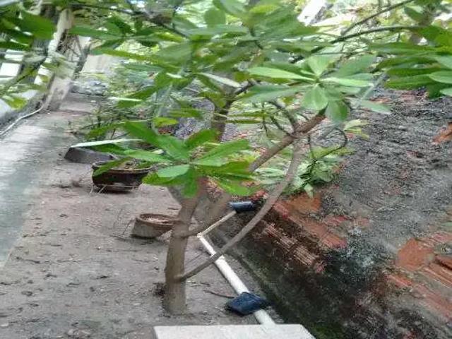 Casa / Sobrado para Venda em Rio de Janeiro/RJ Taquara 3 Quartos