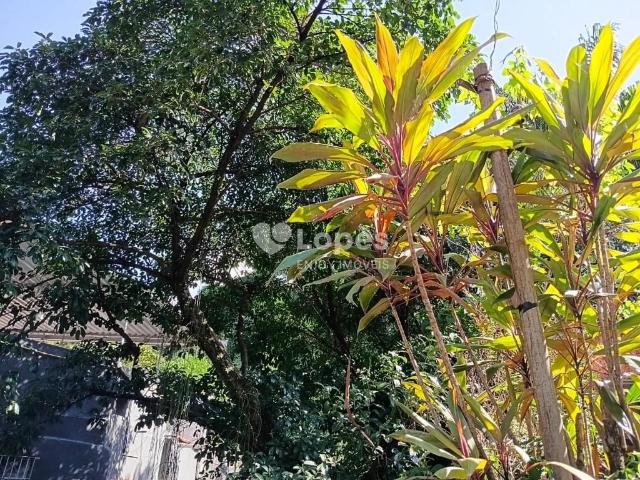 Casa / Sobrado para Venda em Rio de Janeiro/RJ Tijuca 2 Quartos