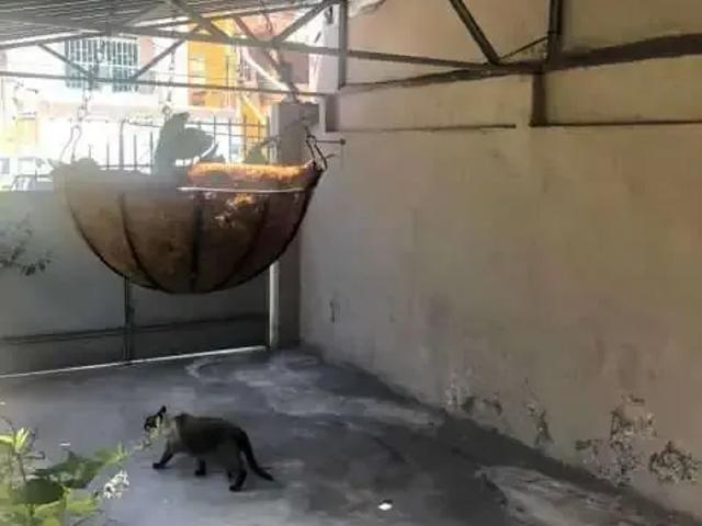 Casa / Sobrado para Venda em Rio de Janeiro/RJ Vila da Penha 3 Quartos