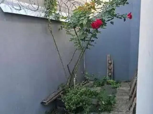 Casa / Sobrado para Venda em Ribeirão das Neves/MG Veneza 1 Quartos