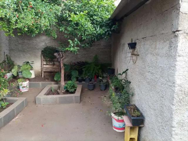 Casa / Sobrado para Venda em Ribeirão das Neves/MG Florença 3 Quartos