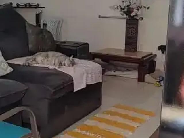 Casa / Sobrado para Venda em Ribeirão Preto/SP Jardim Joaquim Procópio de Araújo Ferraz 3 Quartos