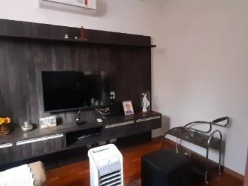 Jardim Palmares, Ribeirão Preto, Ribeirão Preto, São Paulo