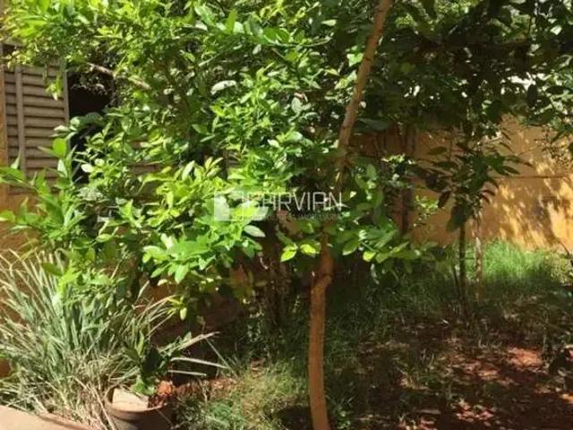 Casa / Sobrado para Venda em Ribeirão Preto/SP Jardim Sumaré 3 Quartos