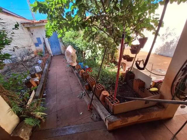 Casa / Sobrado para Venda em Ribeirão Preto/SP Presidente Médici 5 Quartos