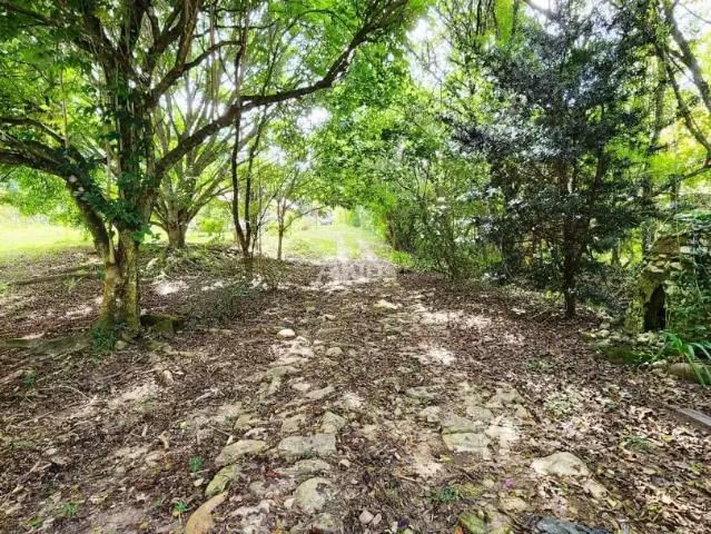 Casa / Sobrado para Venda em São Bento do Sapucaí/SP José da Rosa 3 Quartos