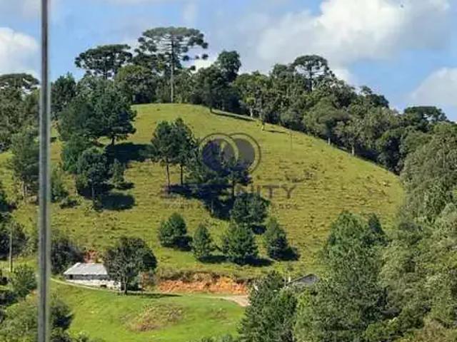 Casa / Sobrado para Venda em São Bento do Sul/SC Schramm 3 Quartos