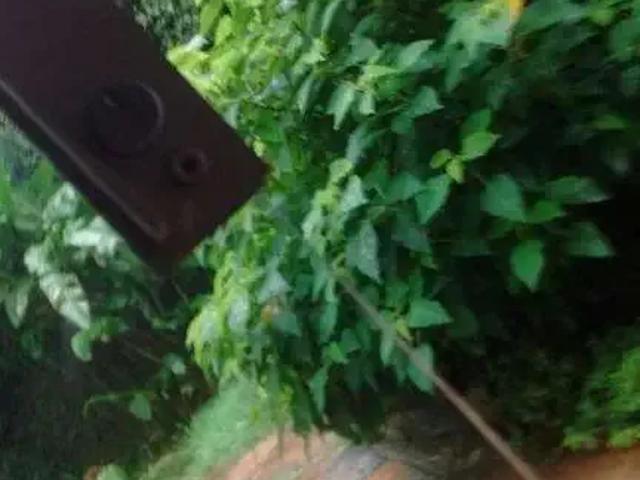 Casa / Sobrado para Venda em São Bernardo do Campo/SP Parque Anchieta 6 Quartos