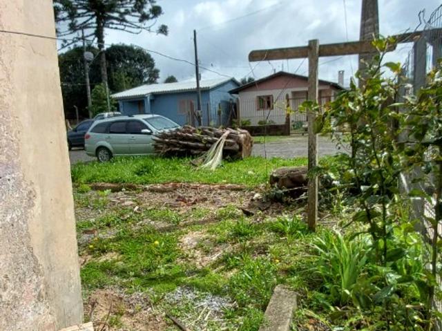 Casa / Sobrado para Venda em São Francisco de Paula/RS Campo do Meio 2 Quartos