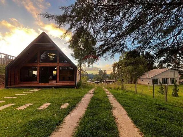 Casa / Sobrado para Venda em São Francisco de Paula/RS Centro 1 Quartos