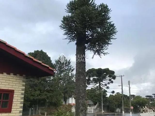 Casa / Sobrado para Venda em São Francisco de Paula/RS Centro 2 Quartos