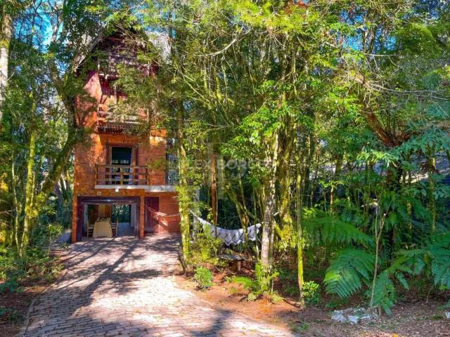 Casa / Sobrado para Venda em São Francisco de Paula/RS Centro 4 Quartos