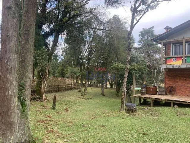 Casa / Sobrado para Venda em São Francisco de Paula/RS São Bernardo 5 Quartos