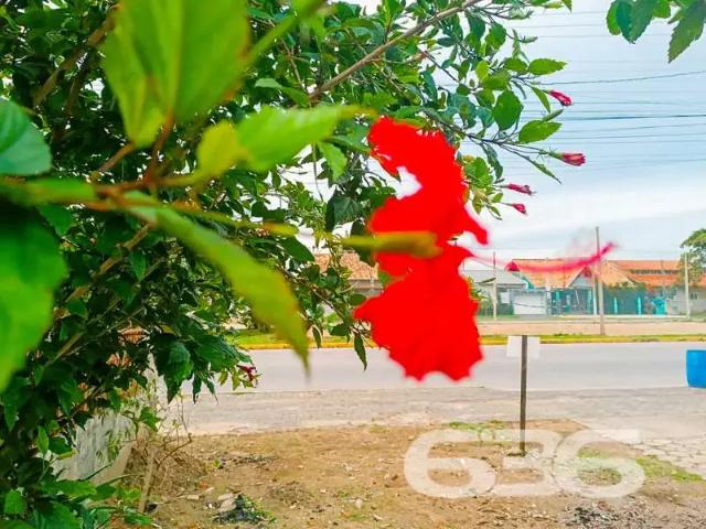 Casa / Sobrado para Venda em São Francisco do Sul/SC Praia Grande 5 Quartos