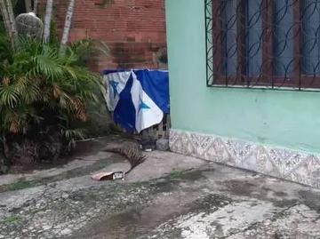 Casa / Sobrado para Venda em São João de Meriti/RJ Parque São Judas Tadeu 2 Quartos