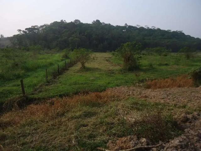 Casa / Sobrado para Venda em São João do Itaperiú/SC Santa Cruz 4 Quartos