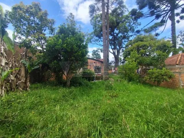 Casa / Sobrado para Venda em São José dos Pinhais/PR Roseira de São Sebastião 4 Quartos