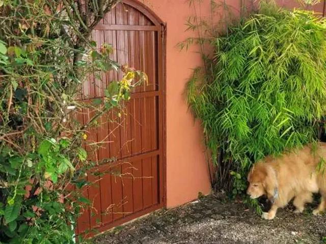 Casa / Sobrado para Venda em São José dos Pinhais/PR Três Marias 3 Quartos