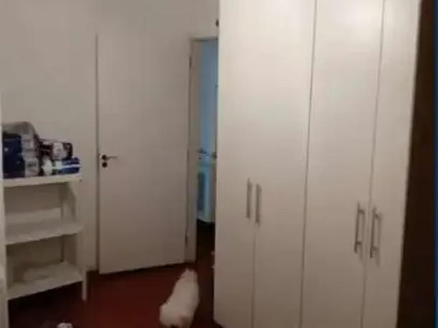 Casa / Sobrado para Venda em São Paulo/SP Vila Morumbi 3 Quartos