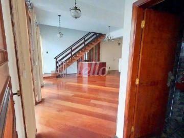 Casa / Sobrado para Venda em São Paulo/SP Vila Bela 3 Quartos