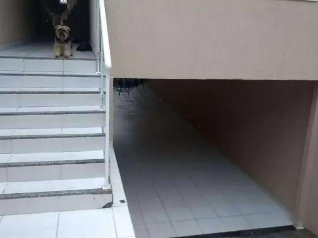 Casa / Sobrado para Venda em São Paulo/SP Vila Cavaton 3 Quartos