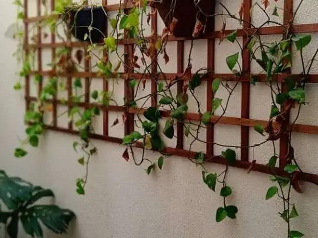 Casa / Sobrado para Venda em São Paulo/SP Vila das Mercês 3 Quartos
