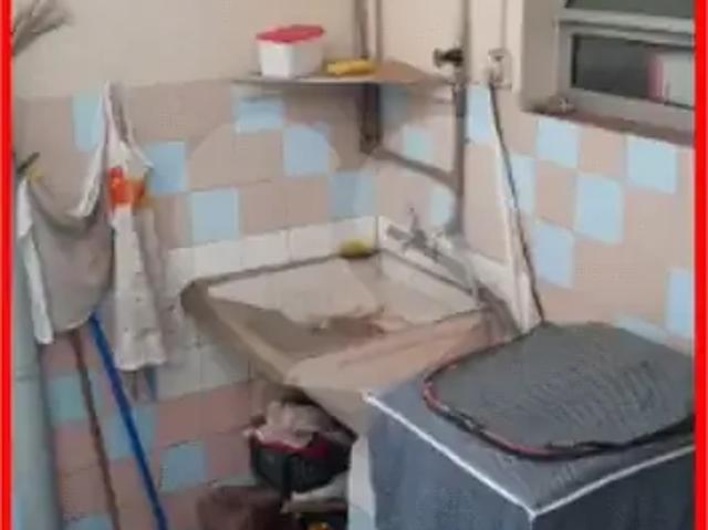 Casa / Sobrado para Venda em São Paulo/SP Vila Guarani 3 Quartos